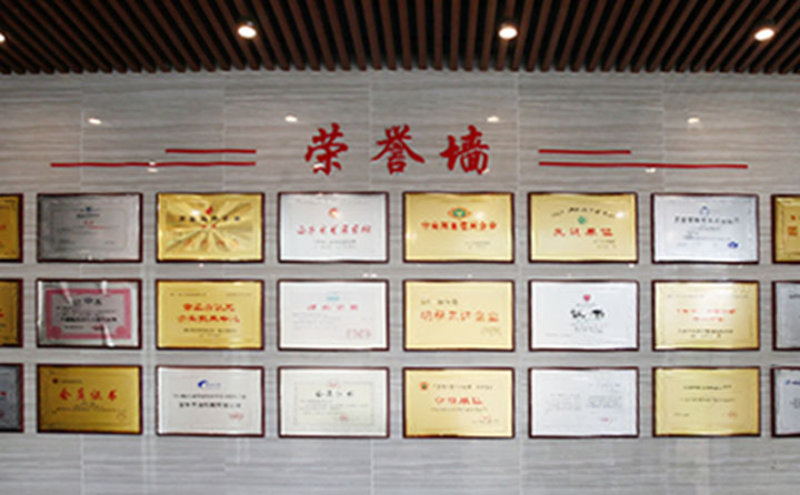 金格瑞榮譽墻.jpg 金格瑞榮譽墻.jpg