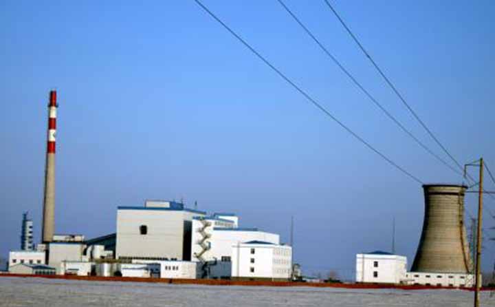 蓬勃發(fā)展的生物質(zhì)電廠 蓬勃發(fā)展的生物質(zhì)電廠