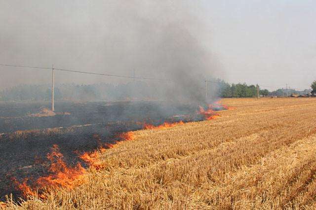 秸稈焚燒產生大量濃煙 秸稈焚燒產生大量濃煙