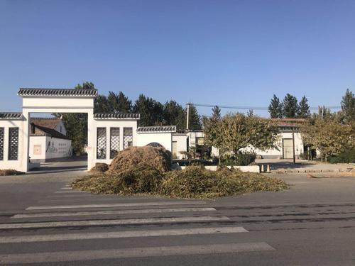 秸稈亂堆現象嚴重 秸稈亂堆現象嚴重