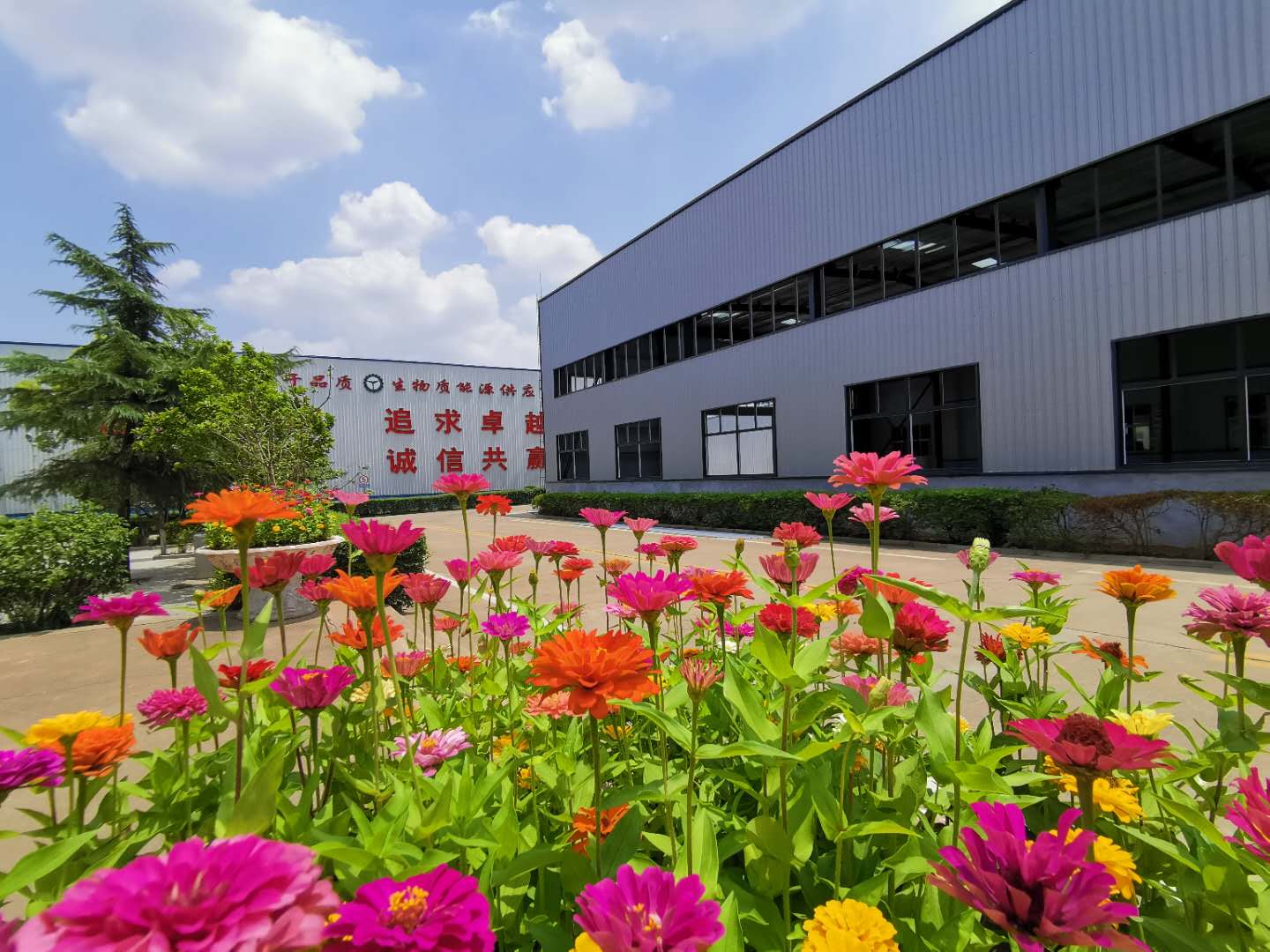 金格瑞顆粒機(jī)廠家憑實(shí)力說(shuō)話 金格瑞顆粒機(jī)廠家憑實(shí)力說(shuō)話