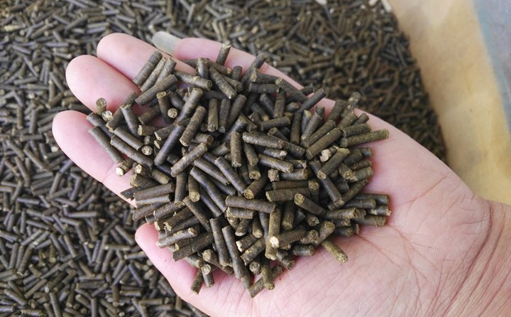 河南秸稈顆粒機加工的顆粒.jpg 河南秸稈顆粒機加工的顆粒.jpg