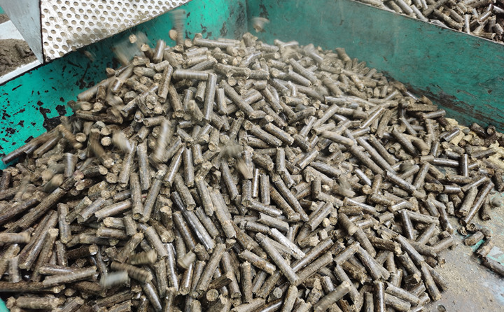 鋸末顆粒機(jī)生產(chǎn)的顆粒.jpg 鋸末顆粒機(jī)生產(chǎn)的顆粒.jpg