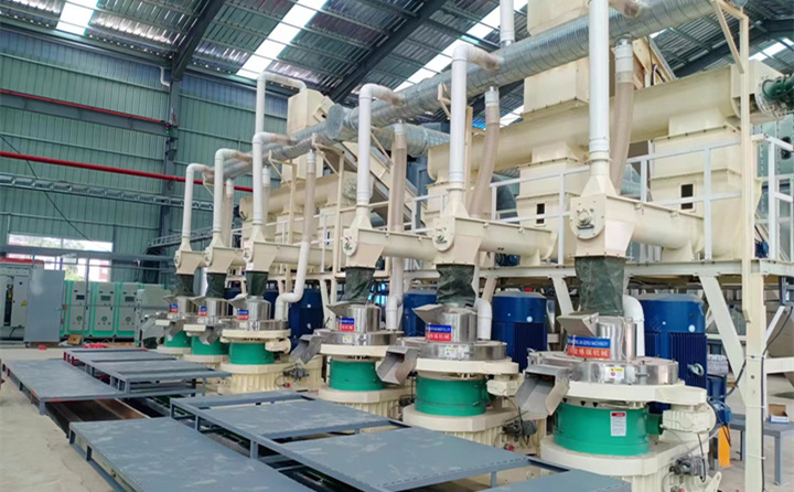 湖北陽新 (2).jpg